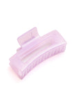 Large Jelly Claw Clip Set of 4